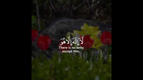 قرآن كريم بصوت القارئ ياسر الدوسري تلاوة خاشعة ارح قلبك 💚🌿حالة واتس إسلامية /استوري انستغرام