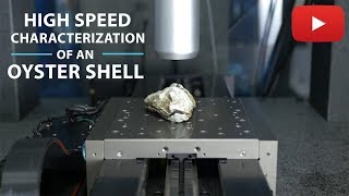 High Speed Characterization Of An Oyster Shell