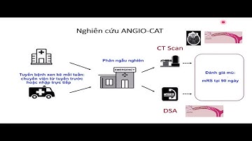 Cập nhật điều trị đột quỵ cấp - PGS Nguyễn Huy Thắng