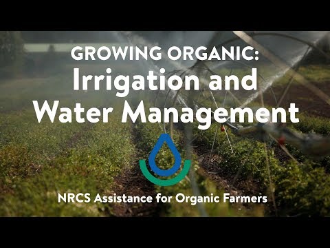 Video: Waarom is het belangrijk om irrigatiefaciliteiten te ontwikkelen?