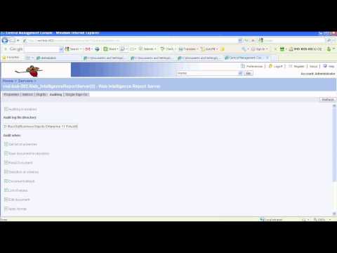 Business Objects XI - AUDITOR Part 1: SETUP