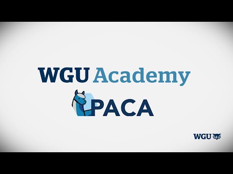 WGU Academy—Overview