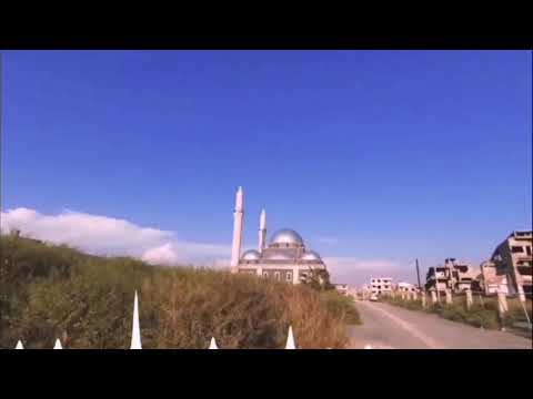 موال أكثر من رائع لحمص العدية 