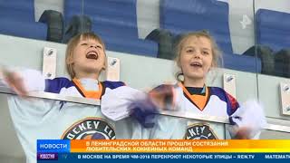 В Ленинградской области прошли состязания любительских хоккейных команд