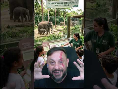 Learn to preserve! Zoos are fundamental for environmental education and conservation
