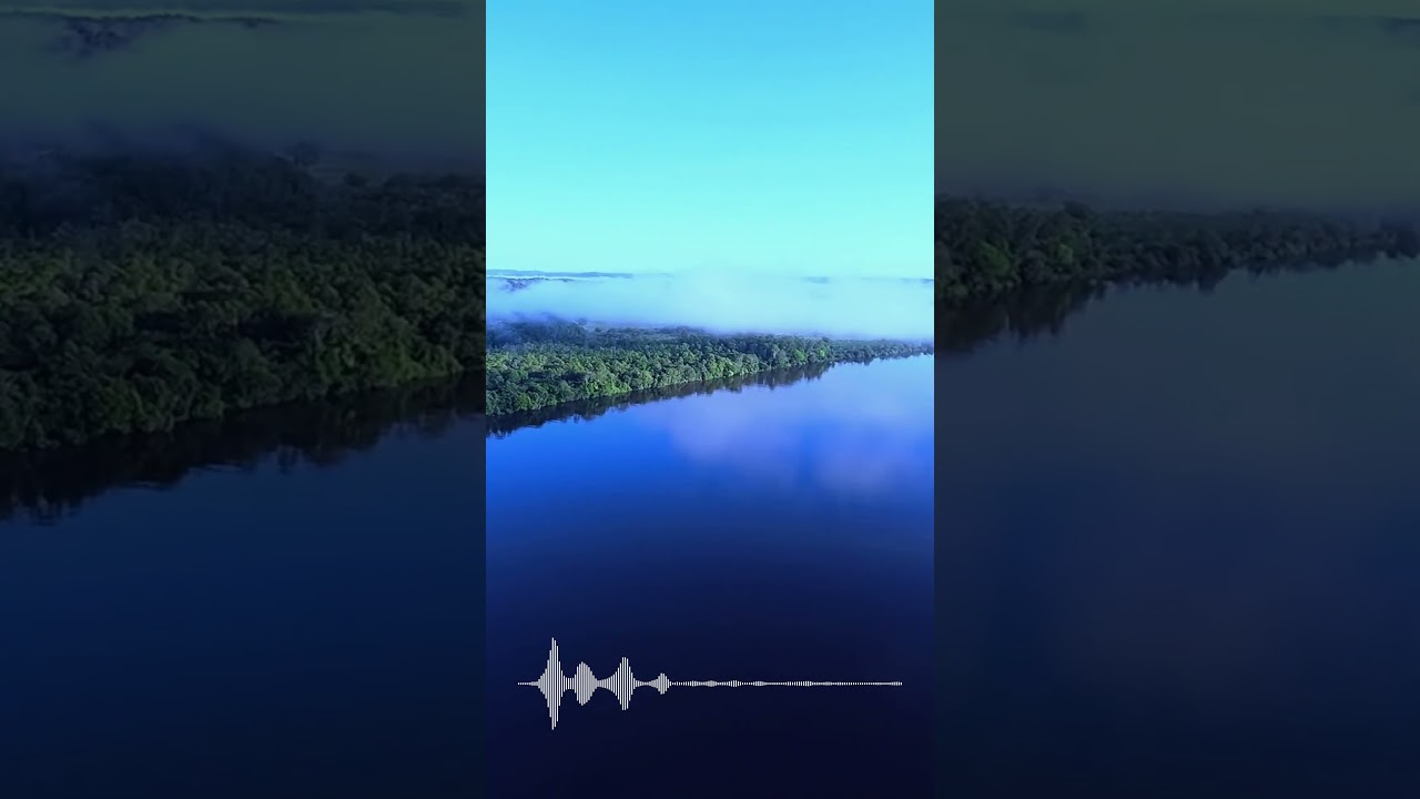 Leroy Wild - Around the World feat Blythe Cash