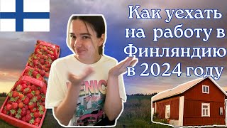 Как уехать на сезонную работу в Финляндию / Зарплаты / Трудоустройство / Проживание / Вакансии