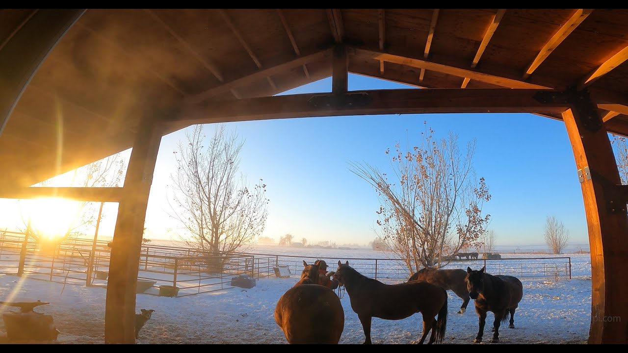 37 Below Zero, "It is officially wintered up" and the high today is -12  below.  Wyoming 307-24-7 4K