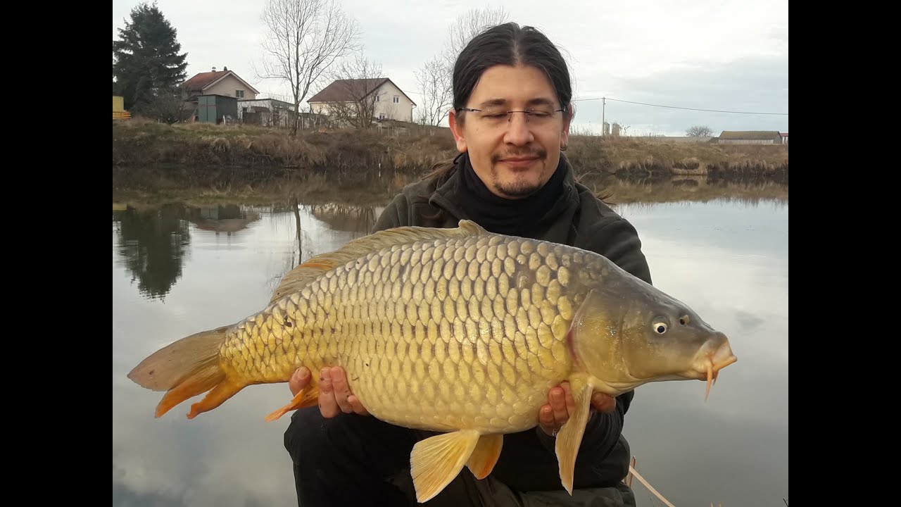 Şubat ayında trofe sazan!