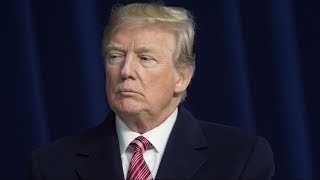 Robert Mueller tells Trump lawyers he will likely request interview with the president