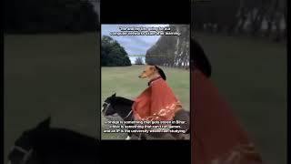 Coding Meme-7#codingmeme #coding #programming #codinglife #codingmemes #programmingmemes