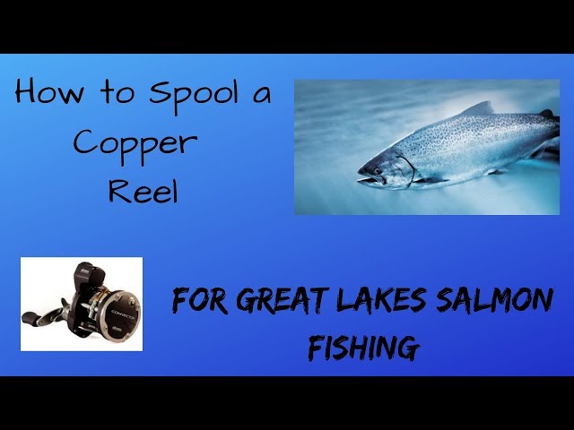 best bank fishing rod and reel The Best Fishing Rod and Reel Combos of 2026