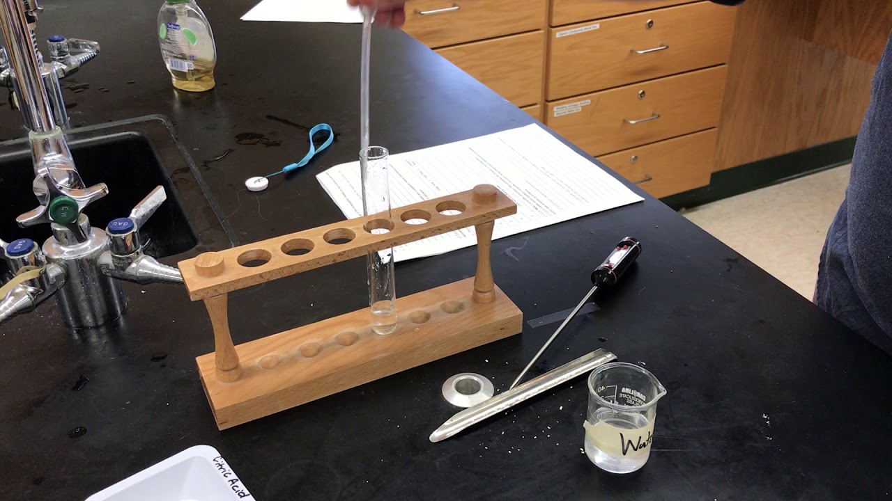 Reaction 5 Citric Acid and Baking Soda YouTube