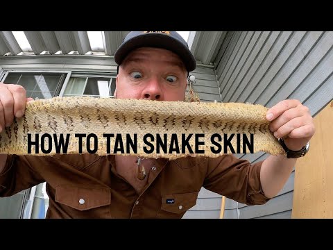 How To Soften Moiturize Dry Snake Skin