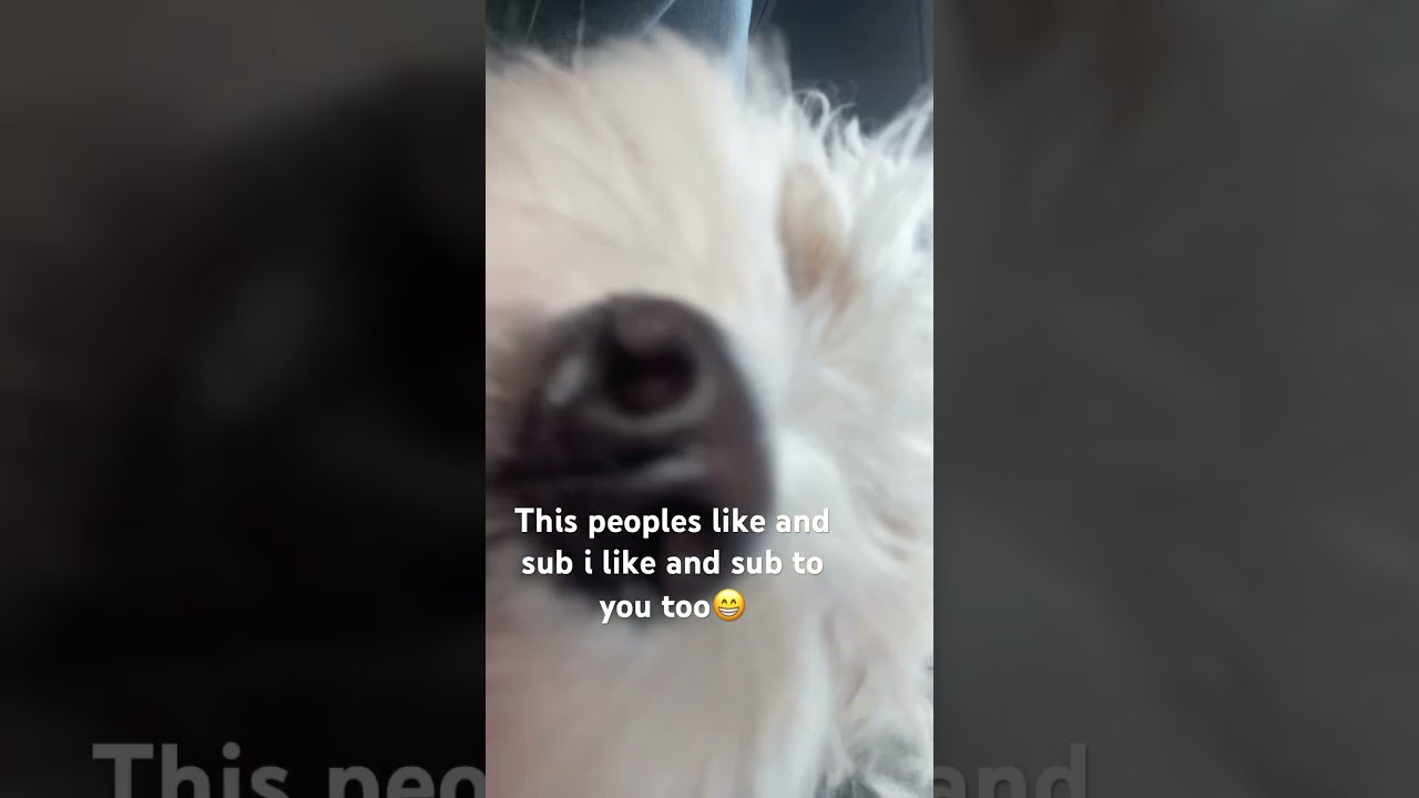 I will just say this peoples like and sub i like and sub too you if you have a Chanel😁😁💖