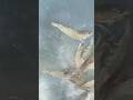 Vanami Fish Pat - 191 New Video Like Share Comment #fish #dog #animals #shorts