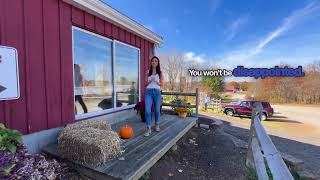 Perfect Activity for Family! Beardsley Orchard & Cider | Shelton, Connecticut | CT Hidden Gems 2024