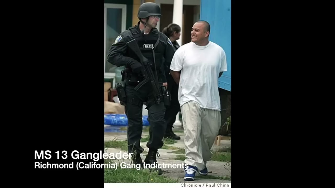 Лидер MS-13 пойман: раскрыта операция по ликвидации в Ричмонде, Калифорния