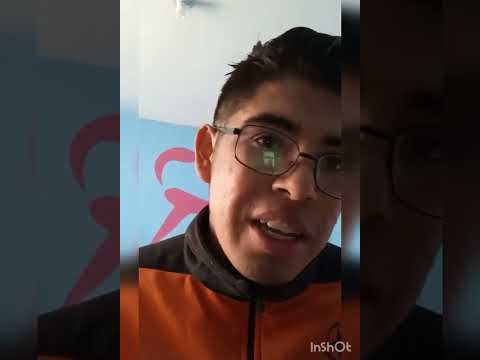 LOS 5 MODELOS