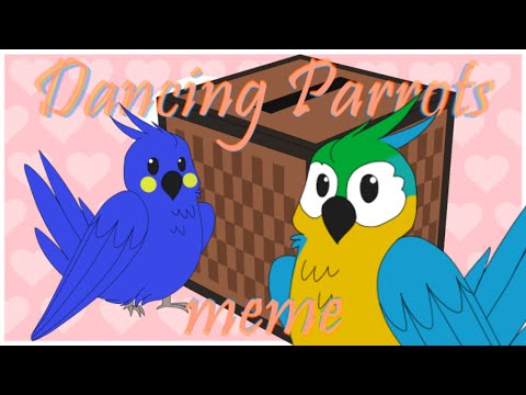 Minecraft Parrots Wholesome Dance Meme 10 Hours Youtube