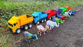 WHOA ‼️ CUTE COWS, HORSES, ELEPHANTS, GOATS, BUFFALO, AND ORCAS HAULED BY COLORFUL WOBBLY TRUCKS