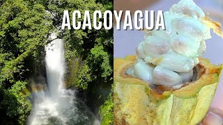 Chocolate y cascadas en las faldas de la Sierra Madre de Chiapas - Acacoyagua.