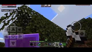 The Sheep Is Stuck In The Tree And Never Setting It Free.