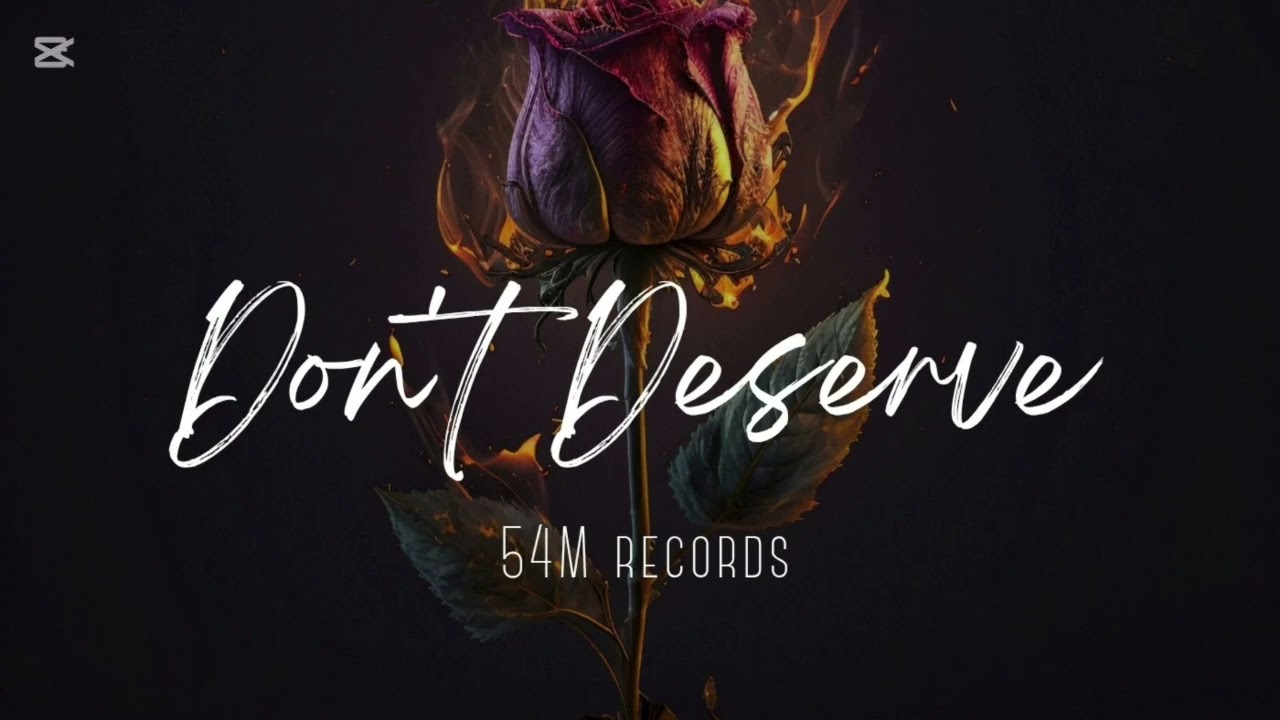 54M records||Don't Deserve||Alan walker type beat. 