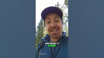 Five Lobes, Not Four: The Secret of the Insula🔍🧠