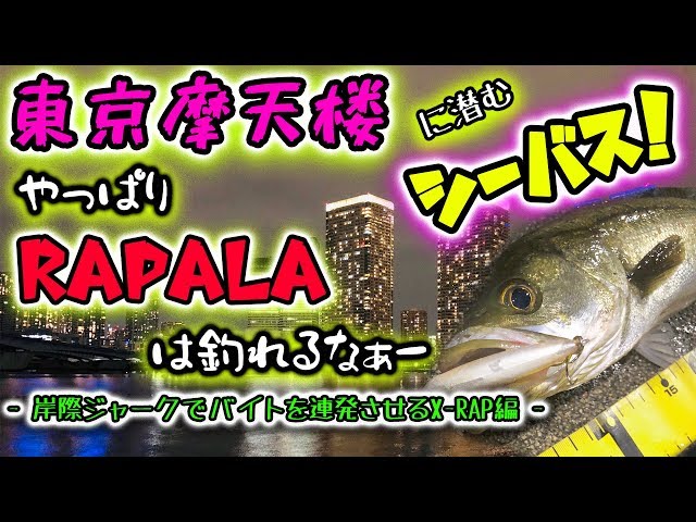 【Rapala】ラパラ ベイエリア セレクション シーバス 東京摩天楼に潜むシーバス！やっぱりRapala(ラパラ)は釣れるなぁー