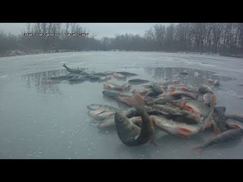 Открытие рыбалки в саратове Открытие рыбалки в саратове