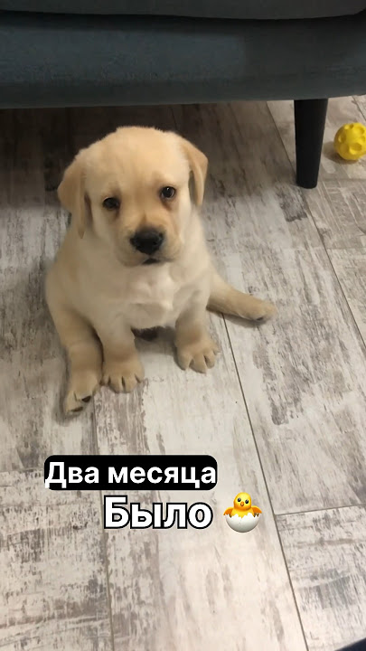 Қоғамдық орындарда киска Коломиядағы секс