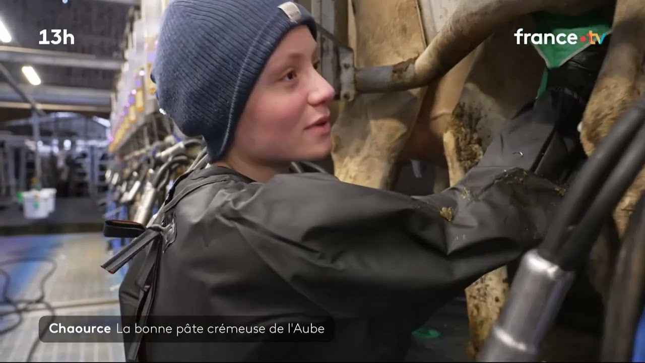📽️ Le Fromage AOP Chaource au JT de 13H 📺 de France 2 Mercredi 11 Juin