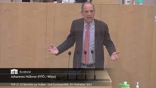 Johannes Hübner - Bericht Eu-Arbeitsprogramm 2021 Außenministerium - 11.3.2021