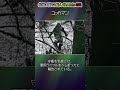 北米に現れる獣人・怪人たち３選#都市伝説#予言#宇宙#shorts