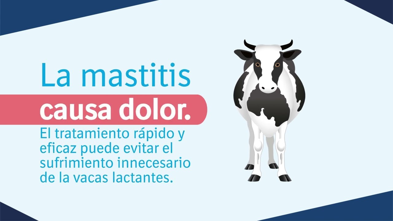 Mastitis: síntomas y tratamiento
