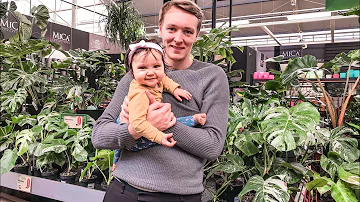 Harga MONVAR di Belanda | #KaleaDiVelden