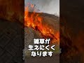 大人の火遊び 棚田の野焼き#棚田 #農作業 #伝統継承 #火遊び #アウトドア