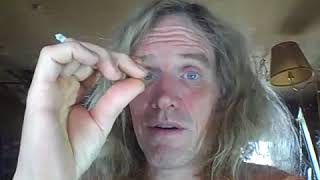 (DraftScience) RE  Wallace Thornhill     Understanding Gravity