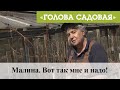 Голова садовая - Малина. Вот так мне и надо!