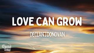Declan J Donovan - Love Can Grow (Lyrics)
