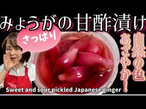 41.みょうがの甘酢漬け自然の色あざやか！
