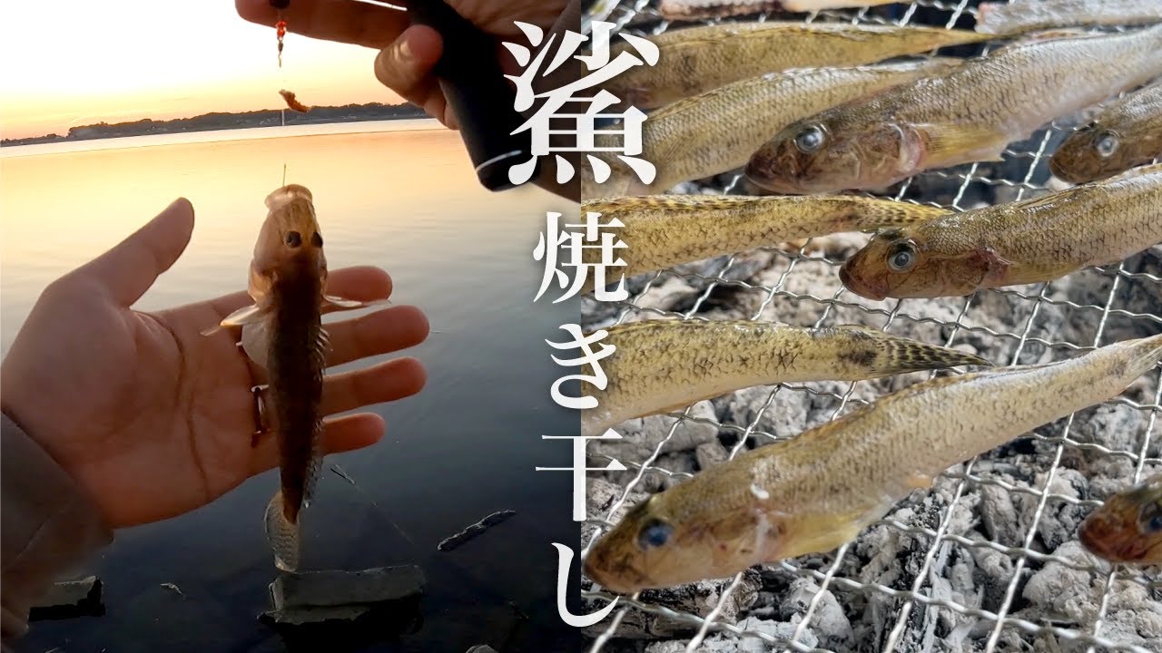 釣ったハゼを焼き干しに！湯豆腐・雑炊・骨酒…｜涸沼川でハゼ延べ竿釣り【2023年】