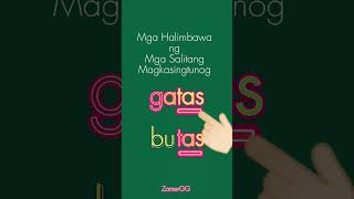 Mga Salitang Magkasingtunog