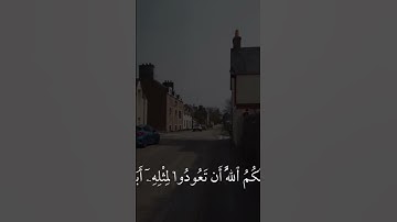 القران الكريم تلاوة ماهر المعيقلي سورة النور #المصحف #اكسبلور #راحة_نفسية