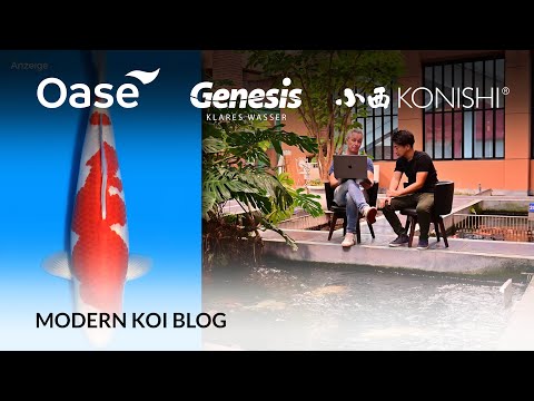 Koiページ Koi Talk Magazine Issue #23 - Koi Talk Magazine