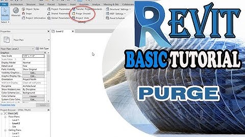 REVIT   PURGE
