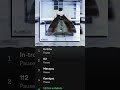 KIF JAKOM EP DAYL PAUSE FLOW Rap Morocco Moroccanrapbuzz كلاش Music Rapmarrakech 