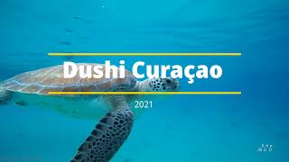 Tauchen auf (Dushi) Curaçao 2021