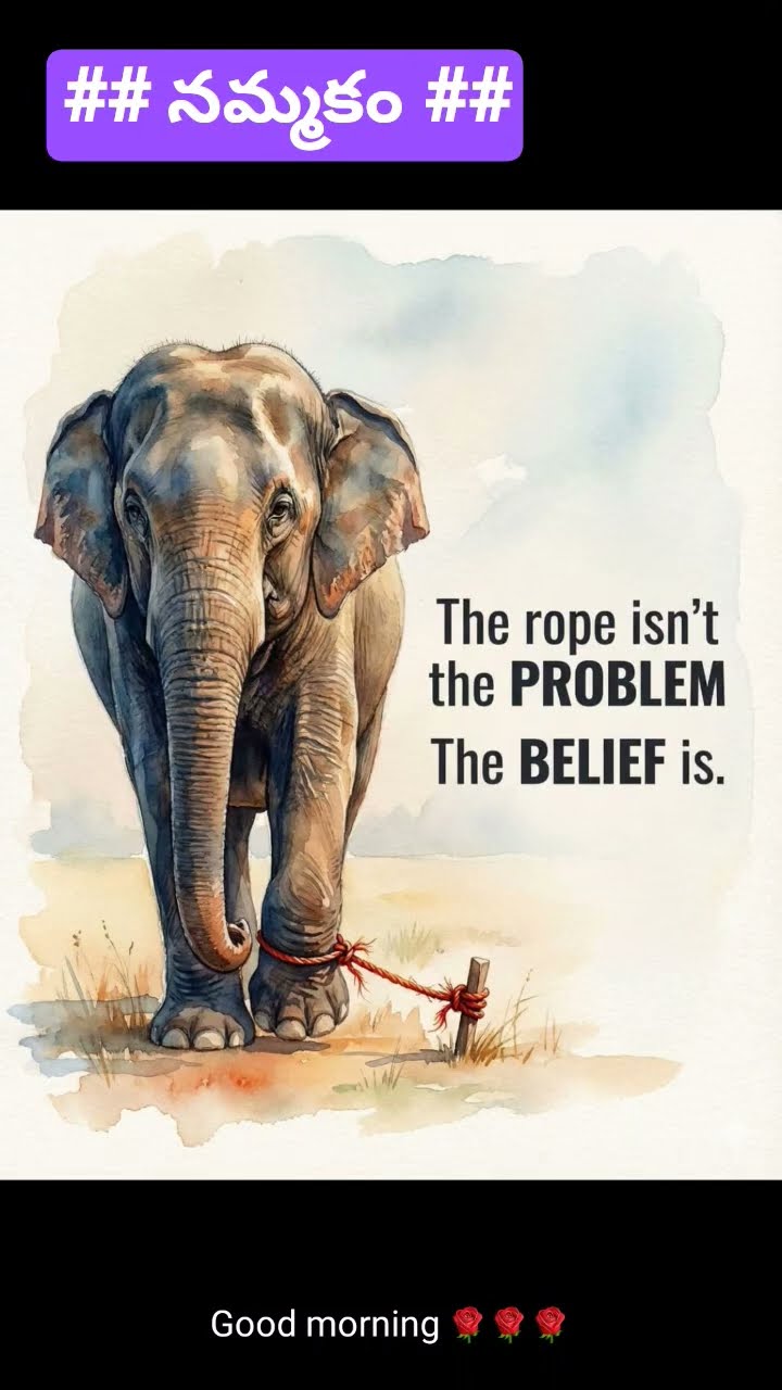 📝బెస్ట్ కోట్స్👌 - ShareChat